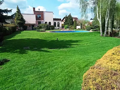 Bellis Gardens Usługi Ogrodnicze